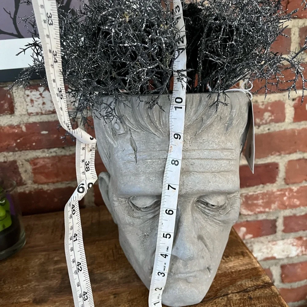 Martha Stewart Frankenstein head decoration new with tags perfect for Halloween